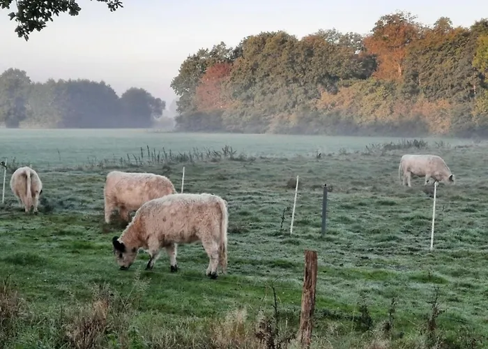 Vakantiehuis 35 Mini Pod 